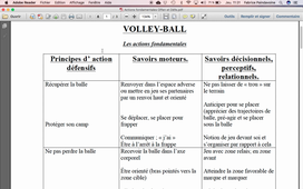 L2 Apprentissage du Volley-ball; approche didactique P1