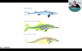 Cours_EVOLUTION_partie 2.mp4