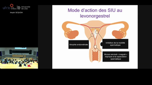 Séminaire Gynécologie médicale 11/09/24