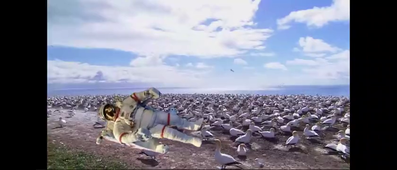 Video_Project_vie_sauvage_Goullet_Agathe.mp4