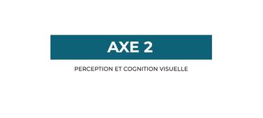 Perception et cognition visuelle