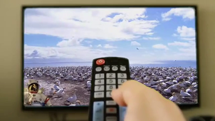 video avec fond vert_joseph_mutuale_grp2.mp4