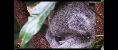 Vidéo sans titre ‐ Réalisée avec Clipchamp.mp4