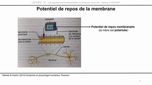 L2-UE3.1-CM1-Capsule3.mp4