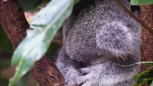 Vidéo sans titre ‐ Réalisée avec Clipchamp.mp4