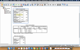 Tuto SPSS - Lancer une ACP et un alpha de Cronbach