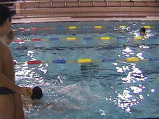 Natation de vitesse, 6ème 2