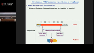 SSH - Epistémologie 4 - MH