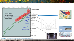 Macroecology and Macroevolution - End of introduction lecture (video 2).mp4
