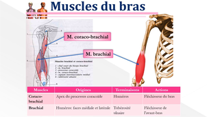 Cours 13 OCTOBRE Distanciel.mp4