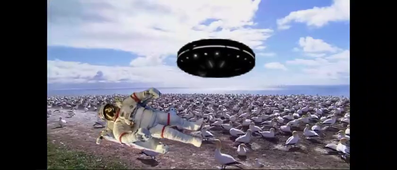 Video_Project_vie_sauvage_2_Goullet_Agathe.mp4