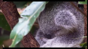 Vidéo sans titre ‐ Réalisée avec Clipchamp.mp4