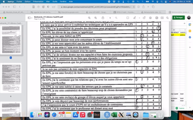 Retranscrire un questionnaire sur un fichier excel.mov