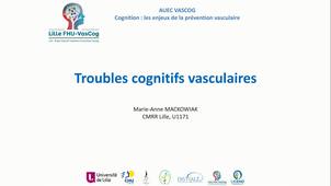 Troubles cognitifs vasculaires- AUEC Vascog Module 2 cours 2 vidéo 3
