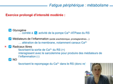 L3-NPM - La fatigue musculaire 2026 - chapitre 7b.mp4