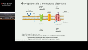 Biologie cellulaire - Cellules procaryotes et cellules eucaryotes - SL