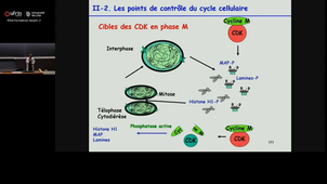 20251107_Paumelle-Lestrelin_11h-12h_las2.mp4