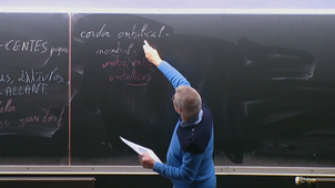 20251024_Balin_10h-11h_las2.mp4