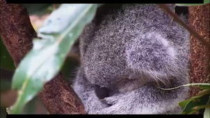 Vidéo sans titre.mp4