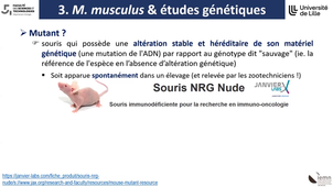 L3BCP_MEV_CM7_20261012.mp4