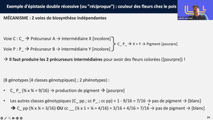 Épistasie_Enregistrement vidéo (partie théorique-CM)