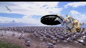 Vidéo sans titre ‐ Réalisée avec Clipchamp.mp4