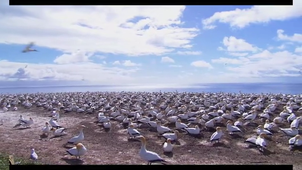 Paolo_Iezzi_G3 ‐ Réalisée avec Clipchamp (1).mp4