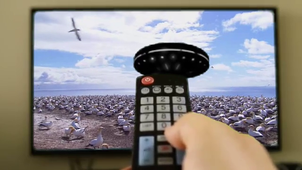 Vidéo numérique Outtier Justine G7.mp4