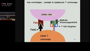 20251114_Paumelle-Lestrelin_11h-12h_Las2.mp4