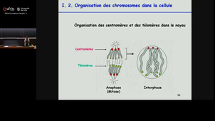 20251017_Paumelle-Lestrelin_9h-10h_Las2.mp4