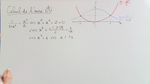 Exercice 12 (Calculs d'intégrales) [02099]