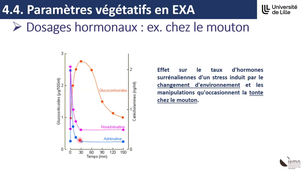 AUEC-EXA-Oct2024_SNA_C-VANBESIEN.mp4