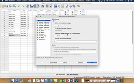 Tuto SPSS - Effectuer des filtres d'observations
