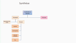 vidéo 5 marchés à terme : synthèse