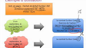Options sur taux d'intérêt 1/3