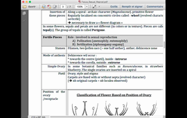 Focus on Plant Sexual Reproduction (Fern/Flower)