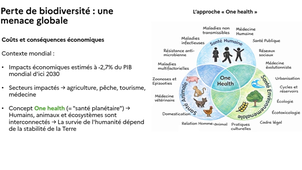 Introduction_biodiversité.mp4
