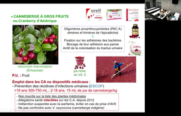 Plantes et Nutriments -S.Sevser - 5 fev 2024 - amidi.mp4