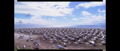 Vidéo sans titre ‐ Réalisée avec Clipchamp.mp4