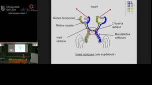 20230327_Vantyghem_11h25-12h50_med2.mp4