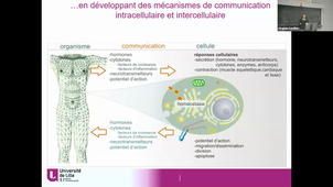 BI1_CM_Communication An1_cours du 12-10-2020