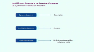 Intro opération assurance .mp4