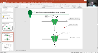 TD 1 BMB2 signalisation cellulaire.mp4