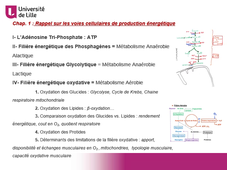 Déterminants Physiologiques de la performance (semestre 1 Part 1)