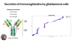 Characterization of Immunoglobulins Expressed by Glioblastoma Cells_Jeanne Léonard.mp4