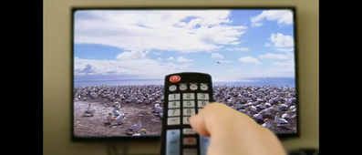 baya sadouki video.mp4