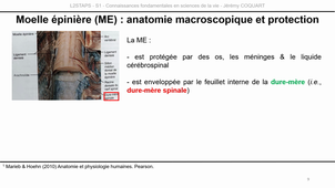 L2-UE3.1-CM3-Capsule7.mp4