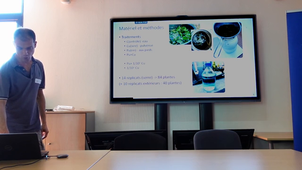AAP ITES - Simon Bordage - Le purin d'ortie, alternative au cuivre en agriculture urbaine