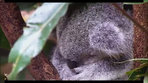 Vidéo sans titre ‐ Réalisée avec Clipchamp.mp4