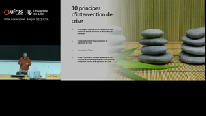 Cours Pr Vaiva - mercredi 29 octobre - 11h à 12h